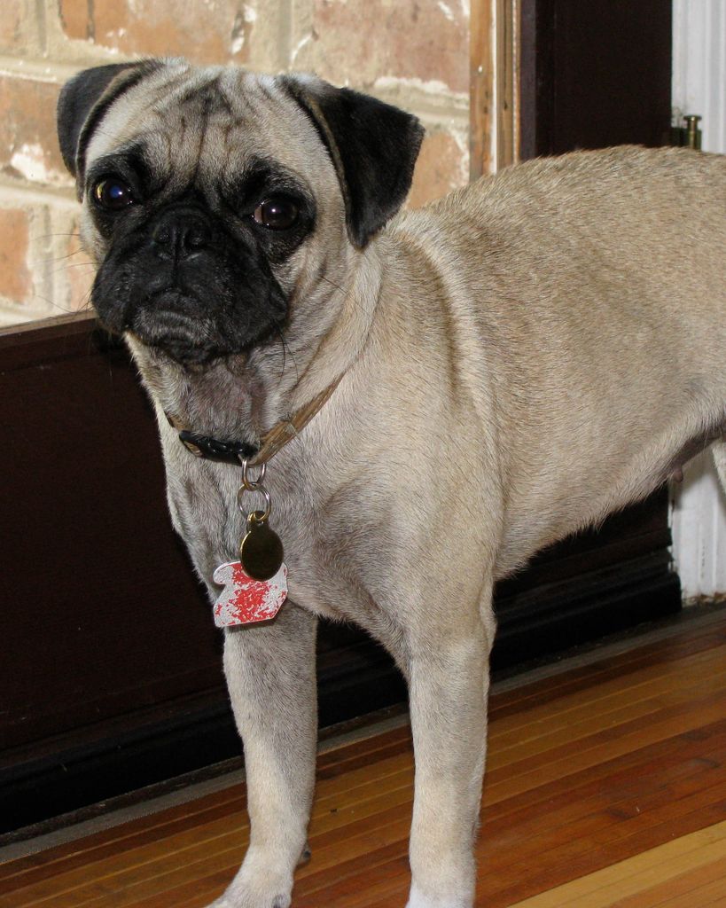 Frank Profile Photo