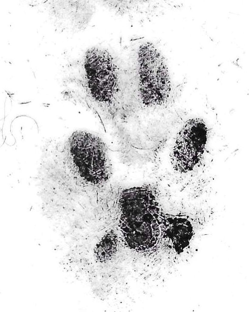 Simon Stephens Profile Photo