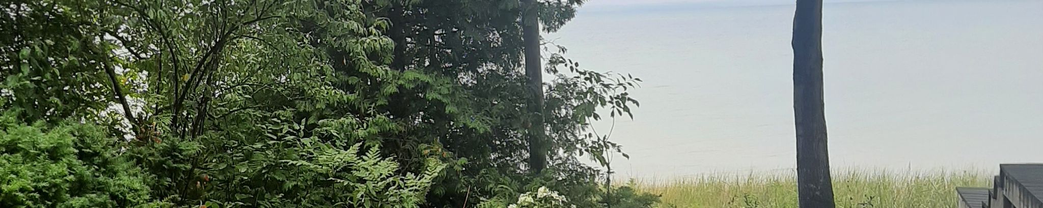 Cover for Karen Lucille Jackson's Obituary