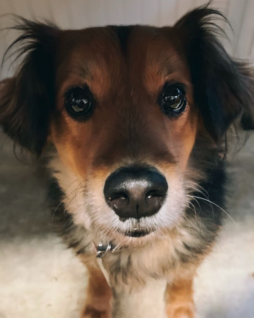 Yoshi Burton Profile Photo