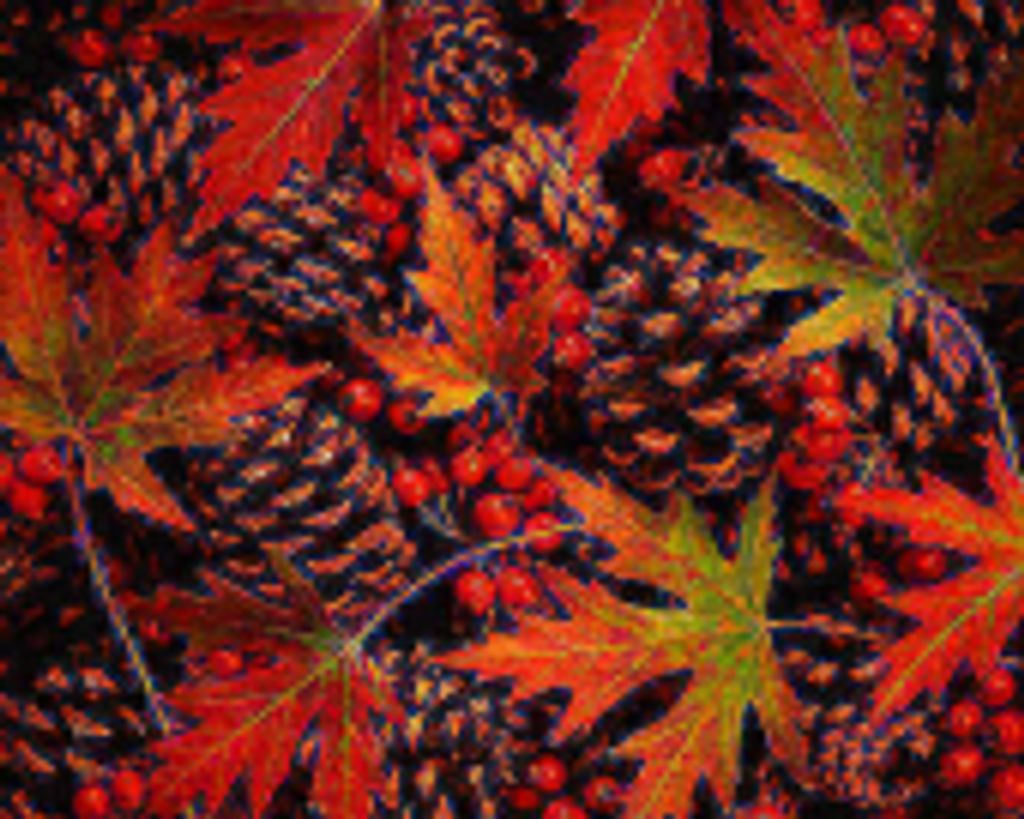 Doralyn R Schweitzer