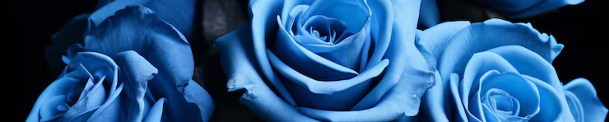 Cover for Edna Vernell Sutton-Woodyear's Obituary