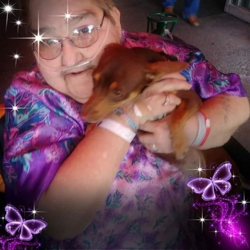 Barbara E (Barr)  Kingsley Profile Photo