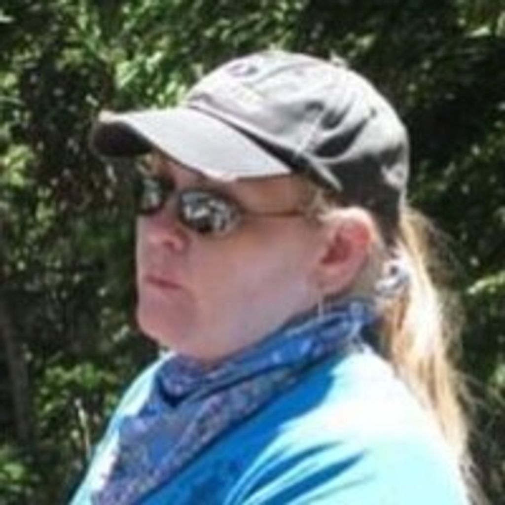 Misty L. Allinson