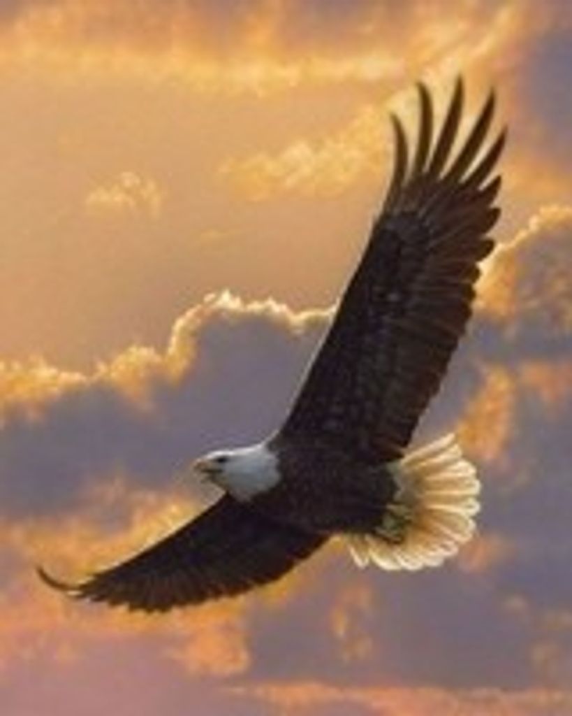 Edward Thomas Lewand Profile Photo