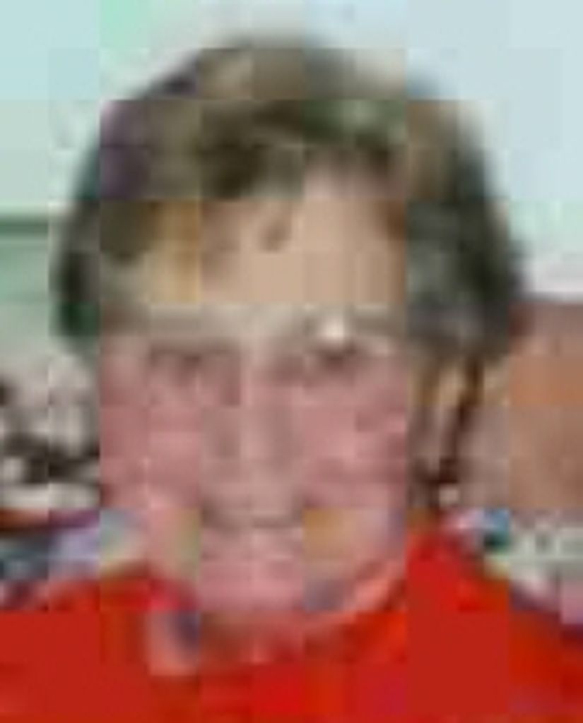Donna L. Knose