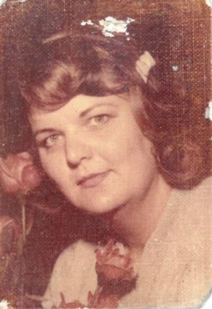 Judith Lee Sperry Profile Photo