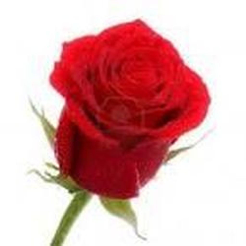 Rose Juice
