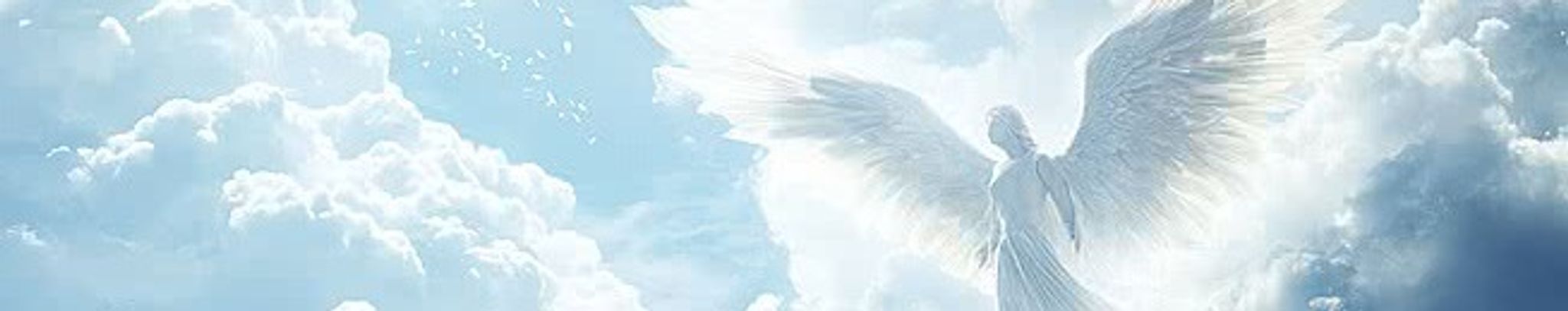Cover photo for Denise Coplin Beck's Obituary