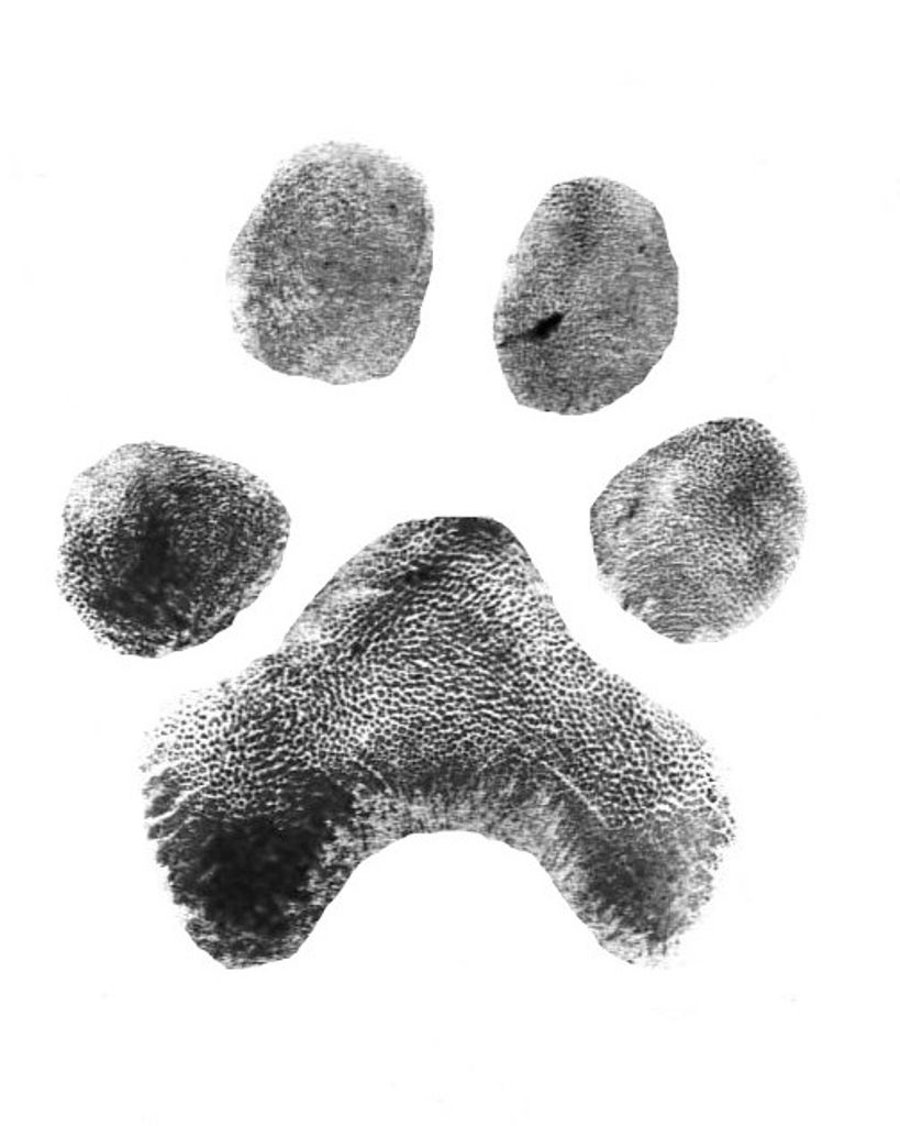 Boomer Keller Profile Photo