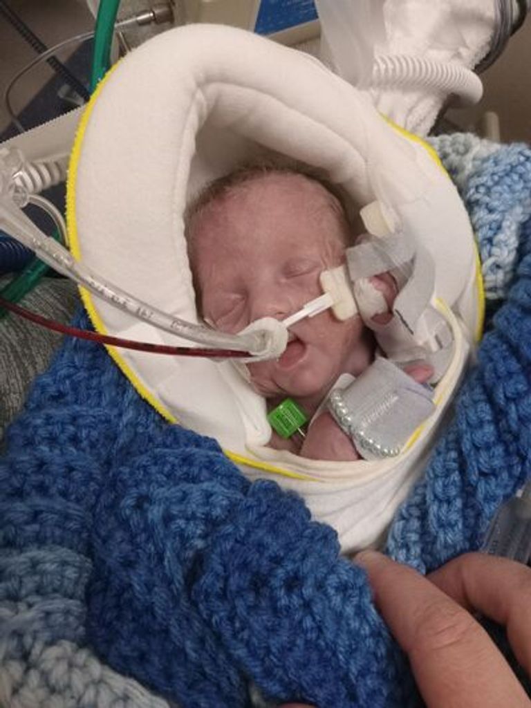 Dansby David Rumsey Profile Photo