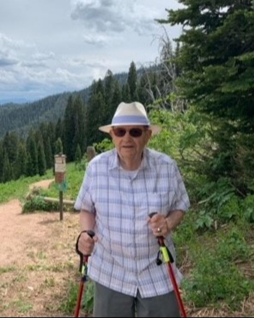 Denis J. Strnad
