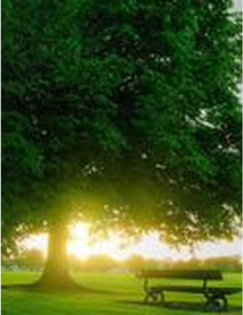 Raymond Scott Burrell