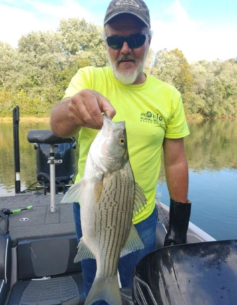 Bruce A. Gottschalk Profile Photo