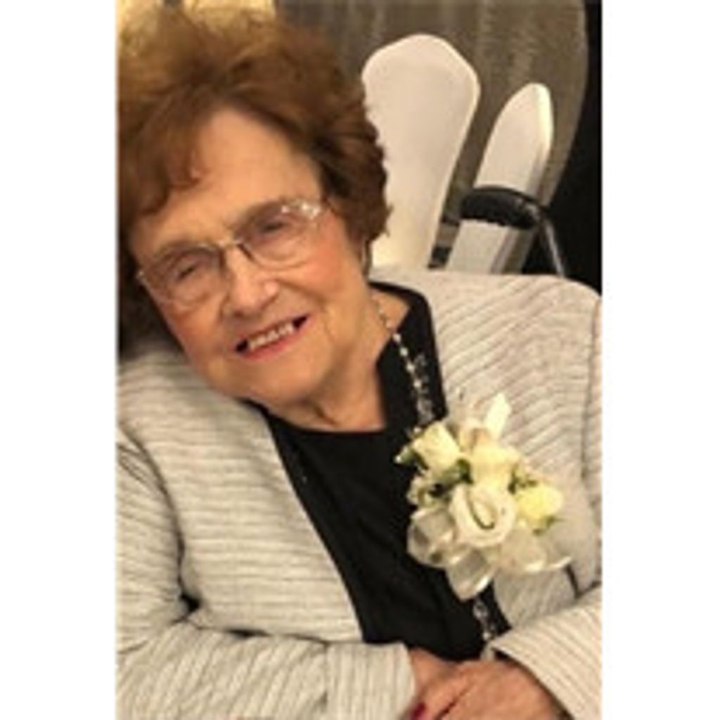 Virginia M Katovitch Terricola