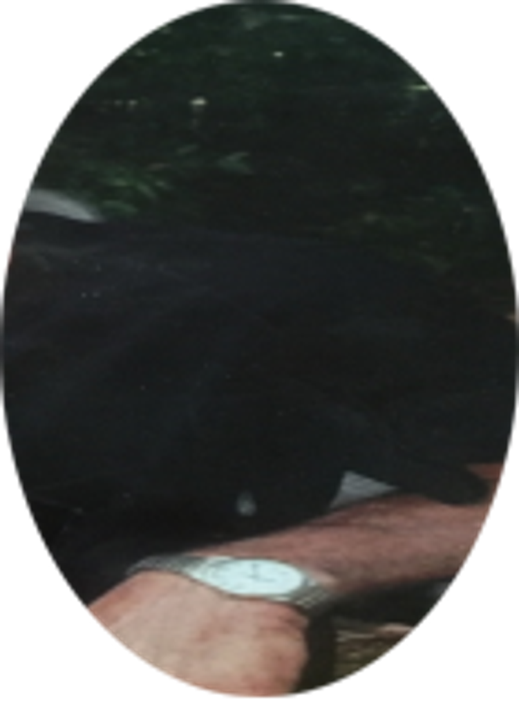 Edward Lewers Profile Photo