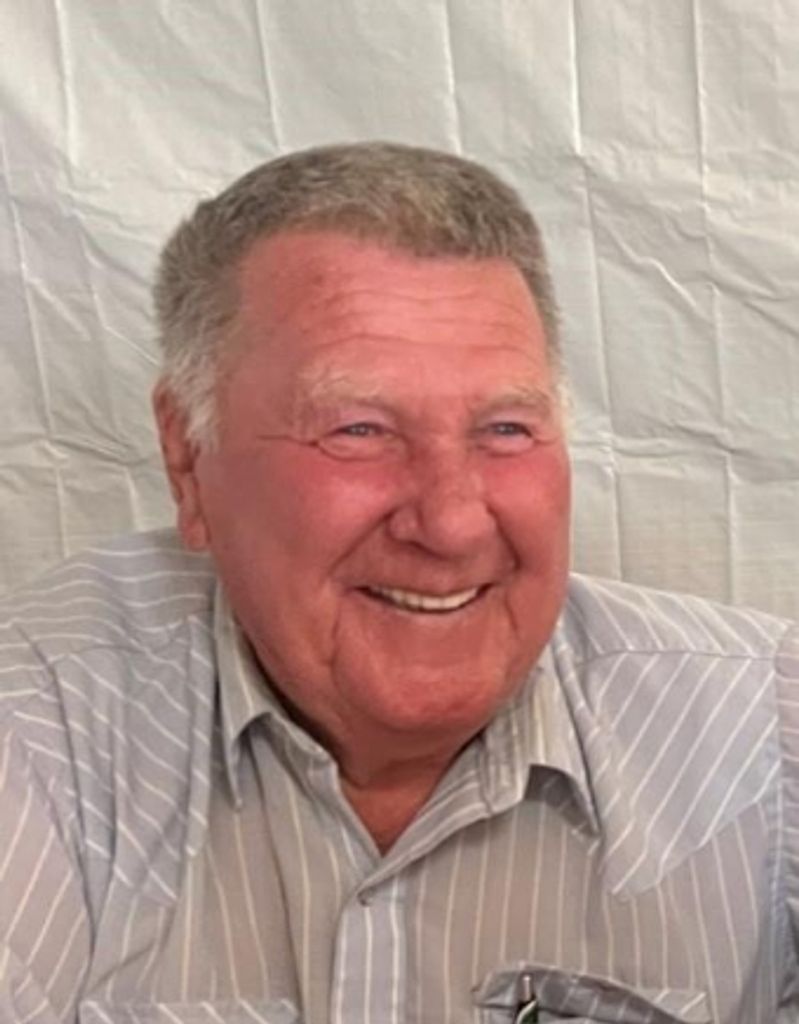 Wayne Lester Mathistad