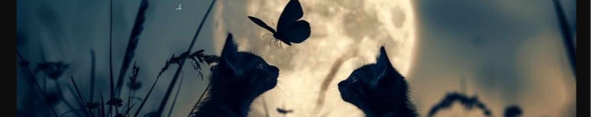 Cover for Patricia "Patsy" Jane Packard's Obituary