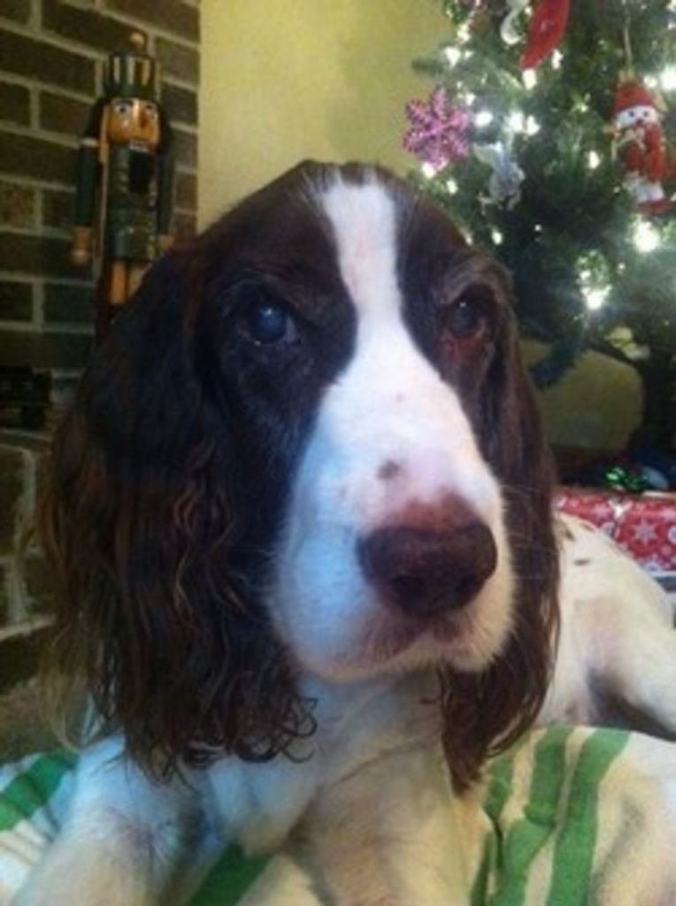 Sam Cameron Profile Photo