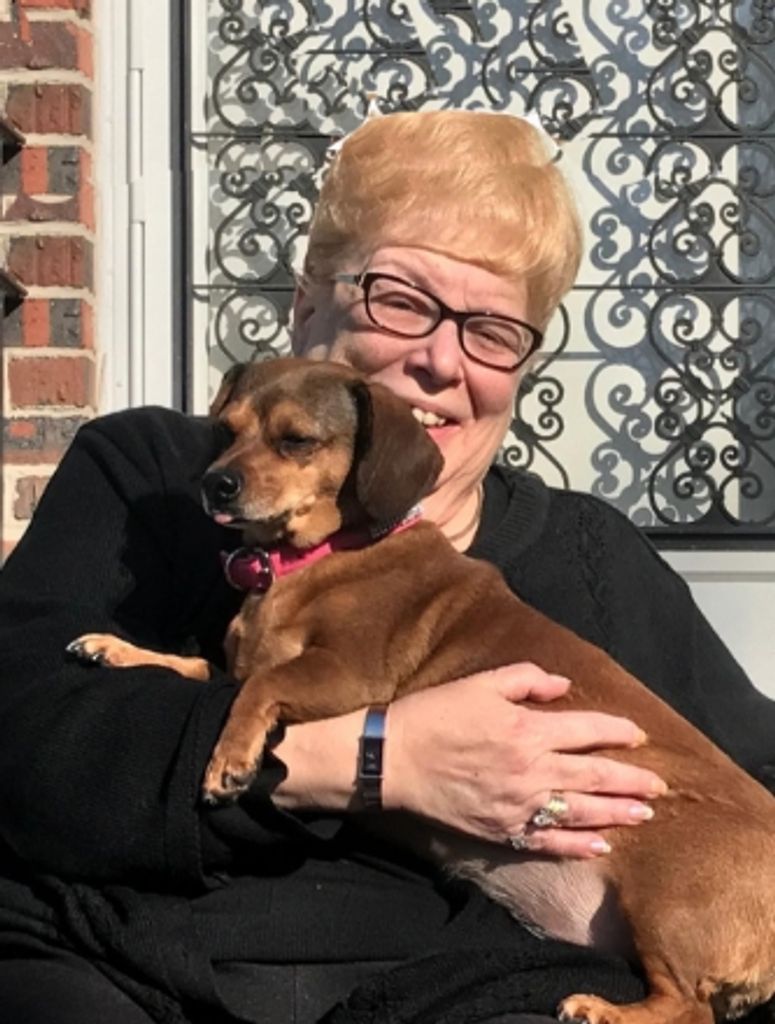 Elaine Lee Cassaro Profile Photo