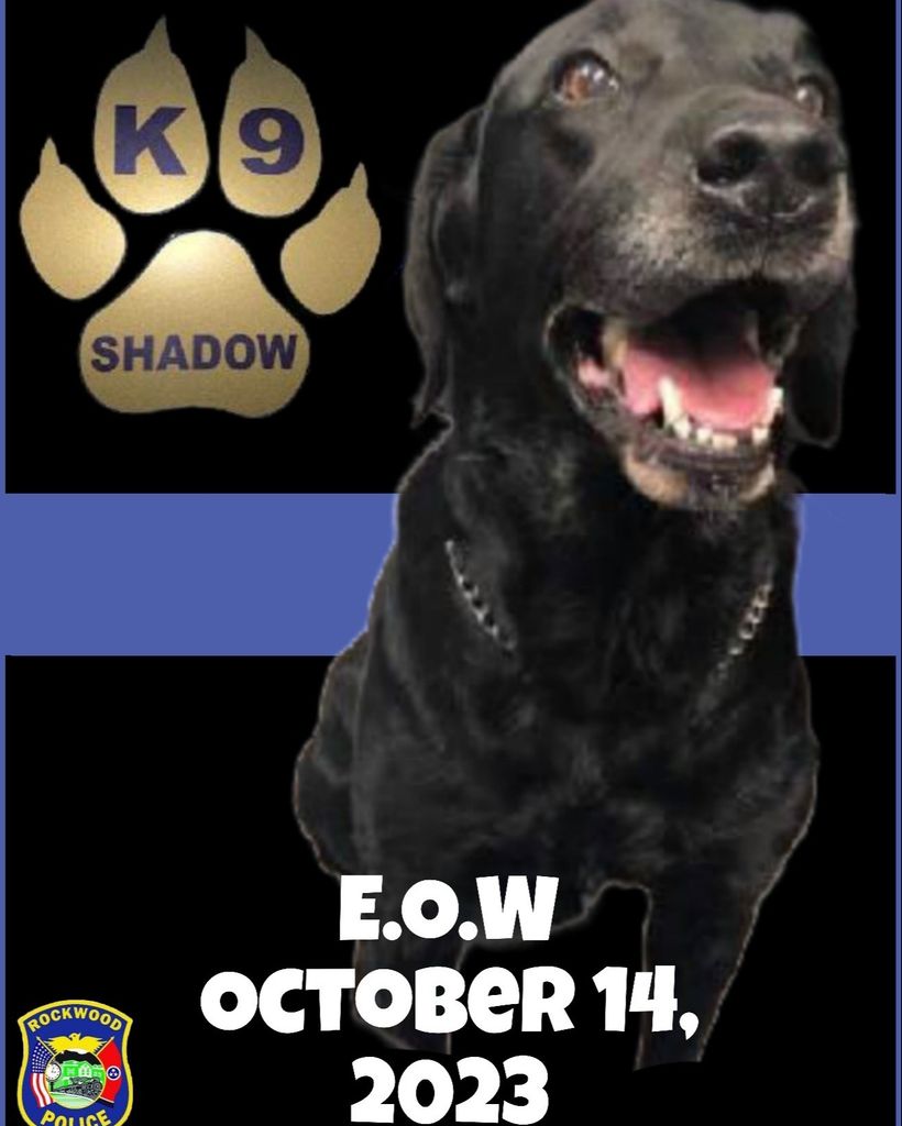 K-9 Officer Shadow