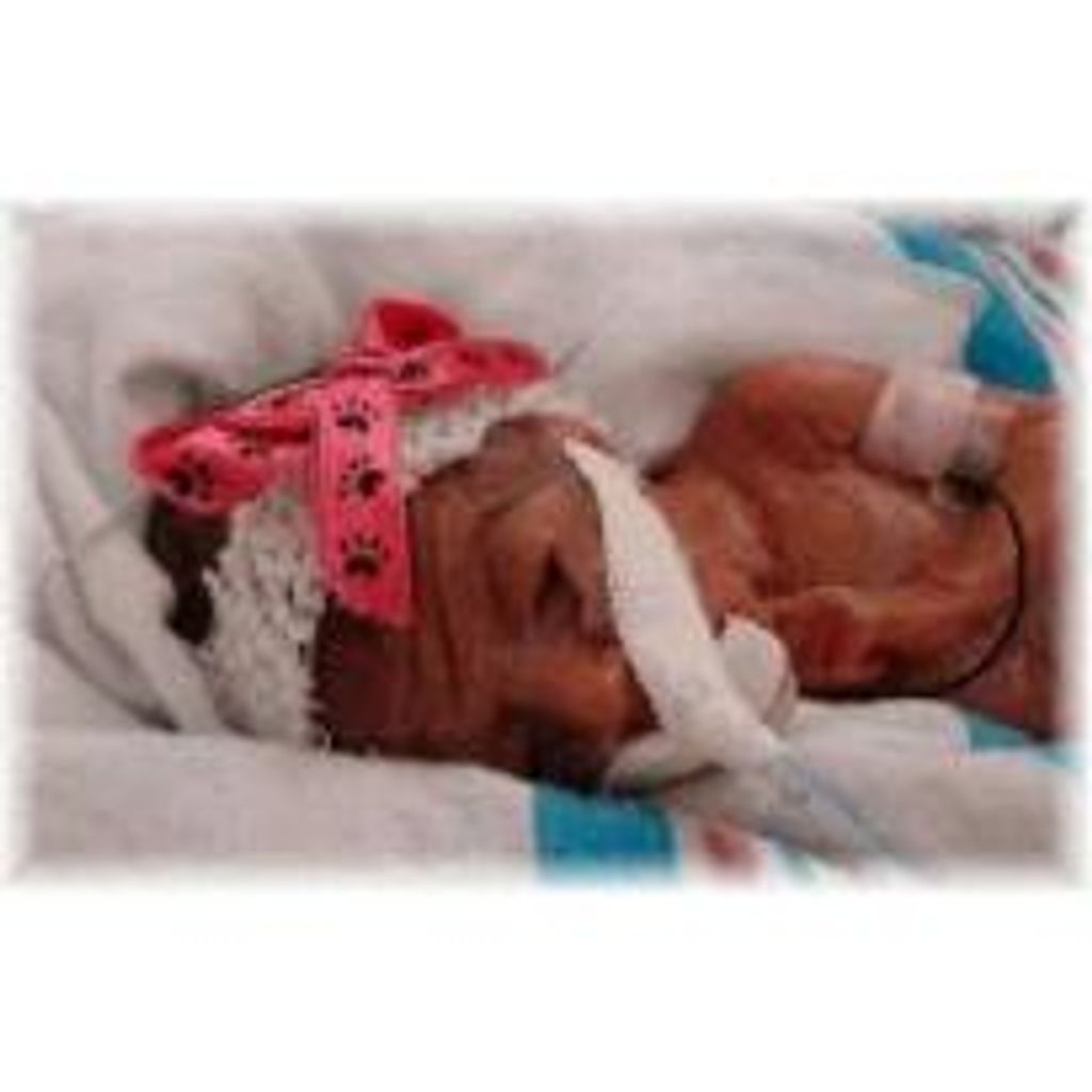 Blayne Makinlee Davis
