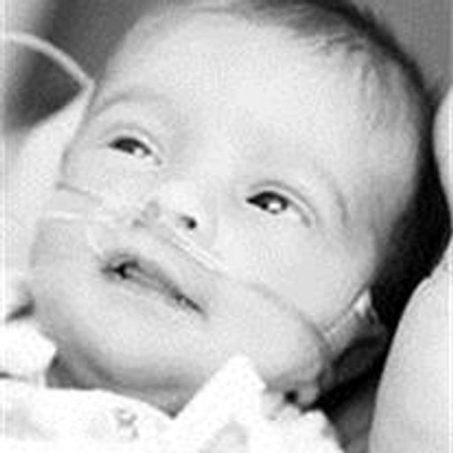 Abigail Marie Sindelar Profile Photo