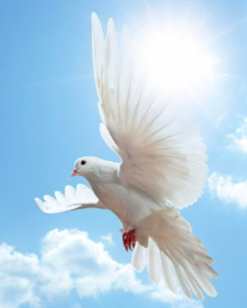 Marion Edward Frierson-Farmer