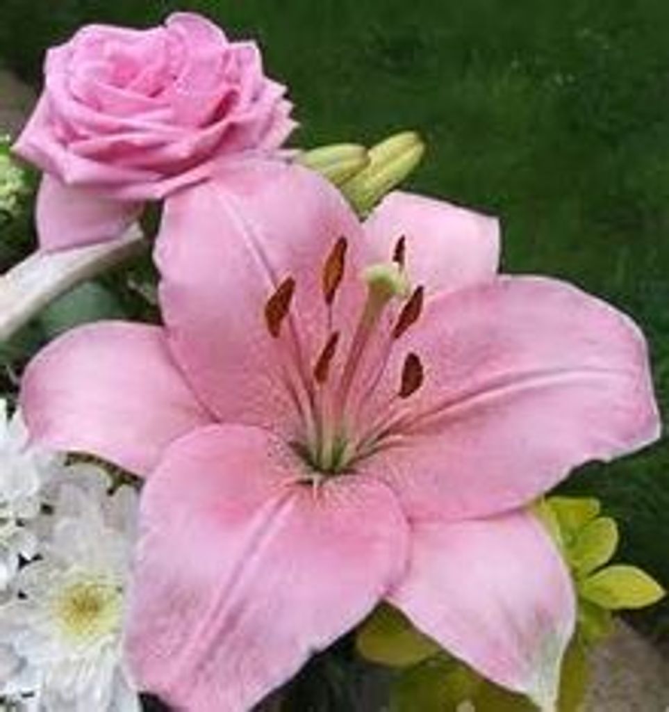 Marie Elaine Lafleur Demay