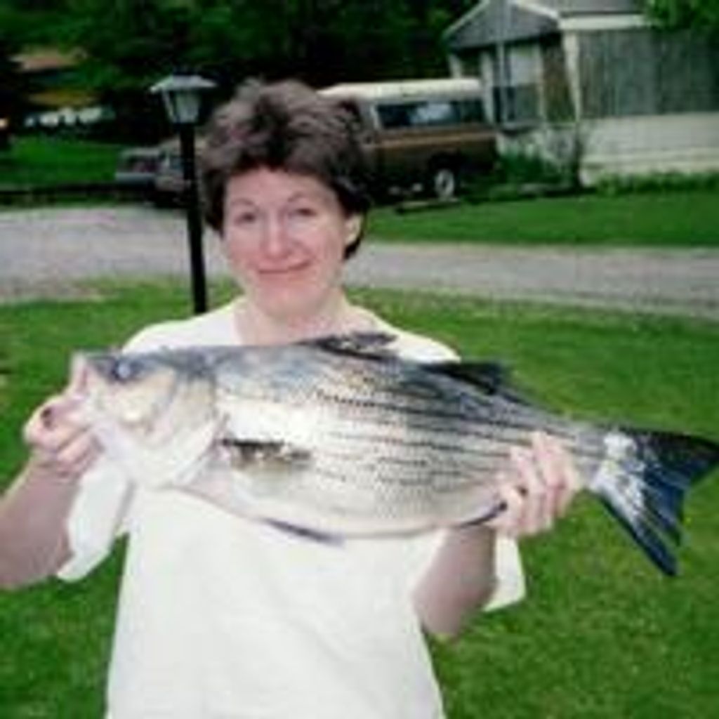 Jill Ann Strobel
