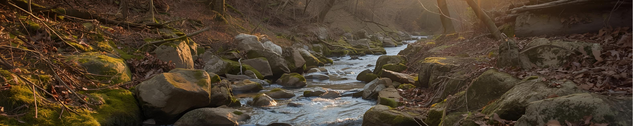 Cover for Timothy McHugh's Obituary
