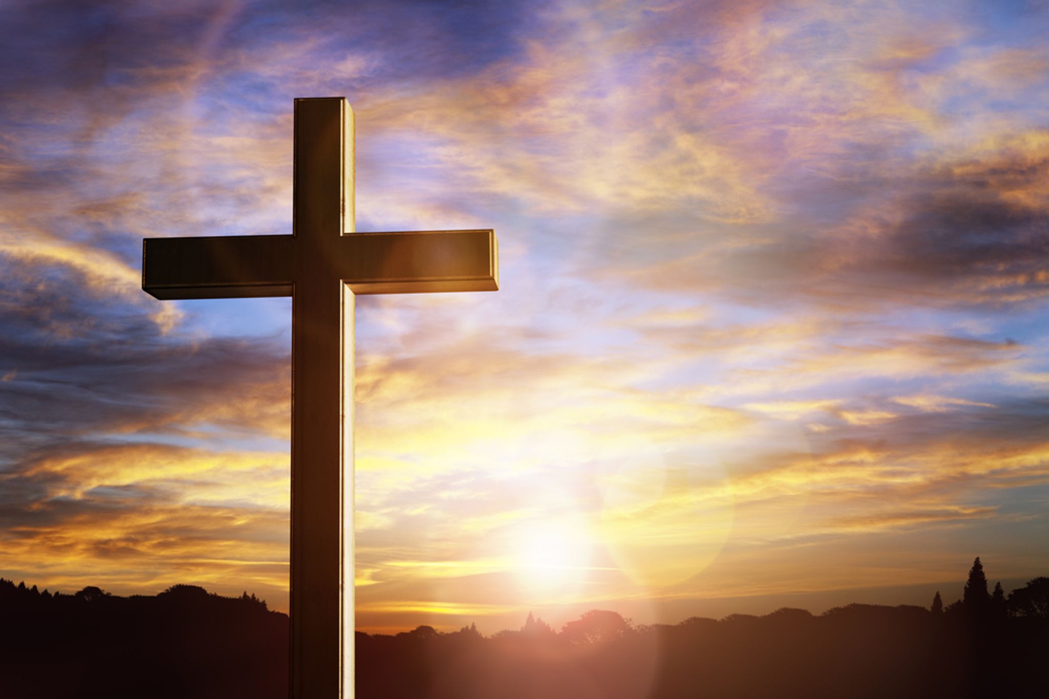 Cover photo for Daisy Orr's Obituary