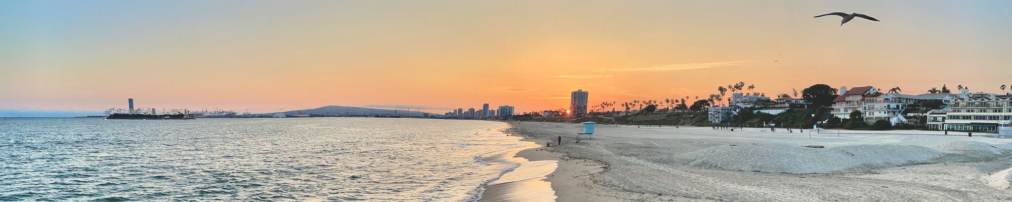 Cover for Teresa Elizabeth Poissant's Obituary