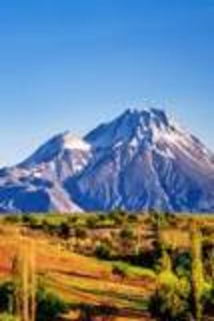 Virginia  Lou Ridge Profile Photo