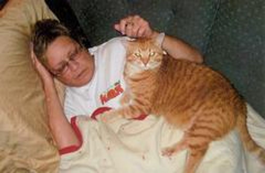 Renee Lee (Austin)  Drake