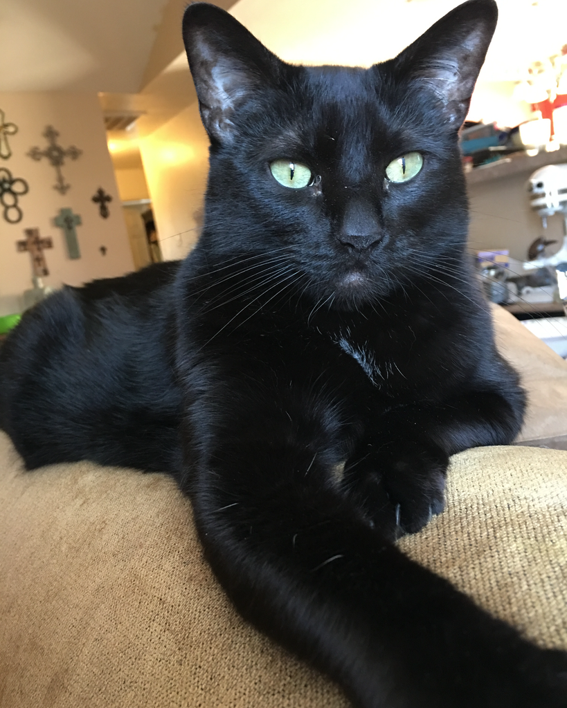 Bear Leir Profile Photo