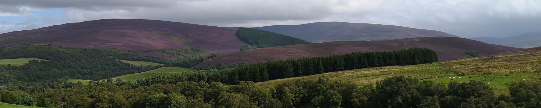 Cover for Terry A. "Bud" Graske's Obituary
