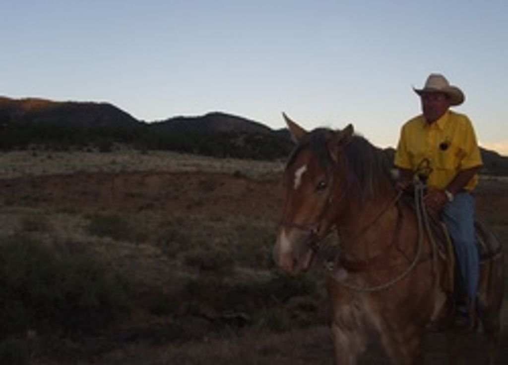 Alfred Robert Gamauf