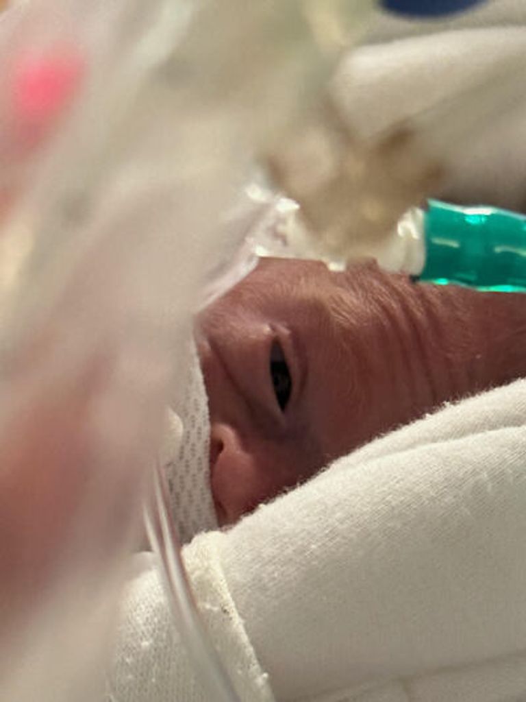 Hadley Nicole Adams Profile Photo