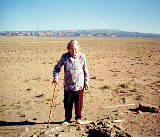 Vion LaVern Johnston photo gallery thumbnail 3 of 49