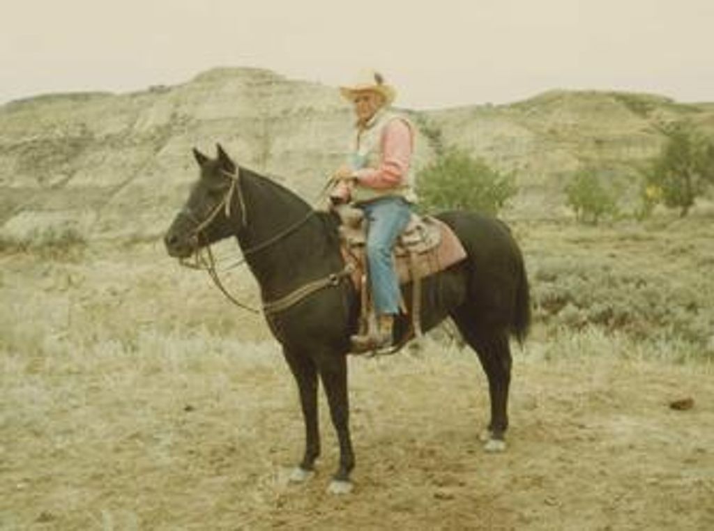Henry N. Becker Profile Photo