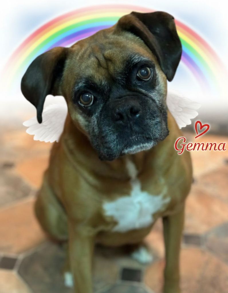 Gemma Goodyear Profile Photo