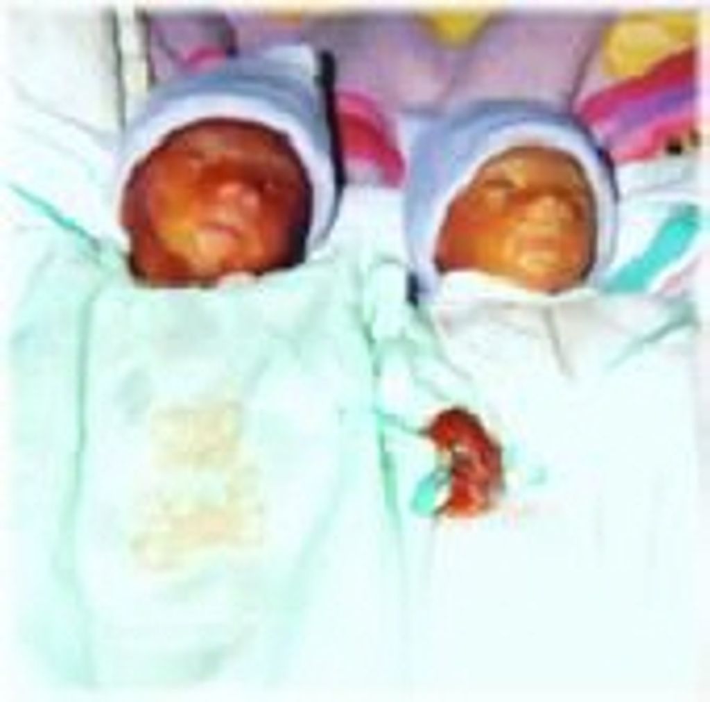 Dominic & Donovan Svejda