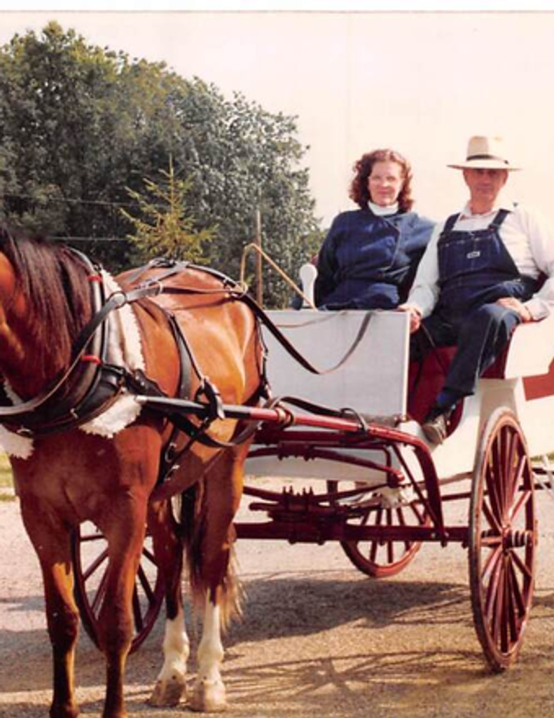 Carol Jane (Hord) Howell