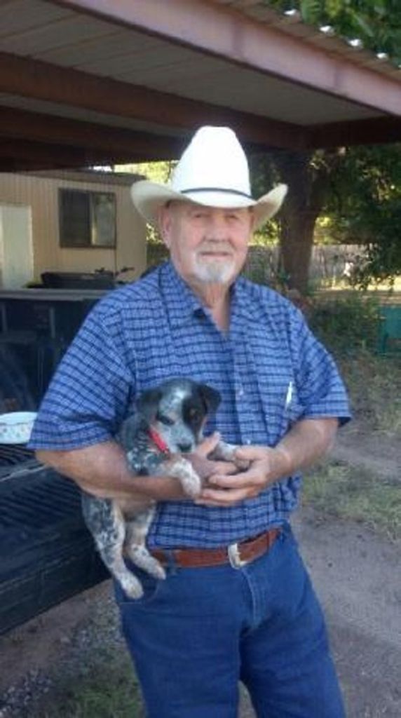 Marvin Huff Profile Photo