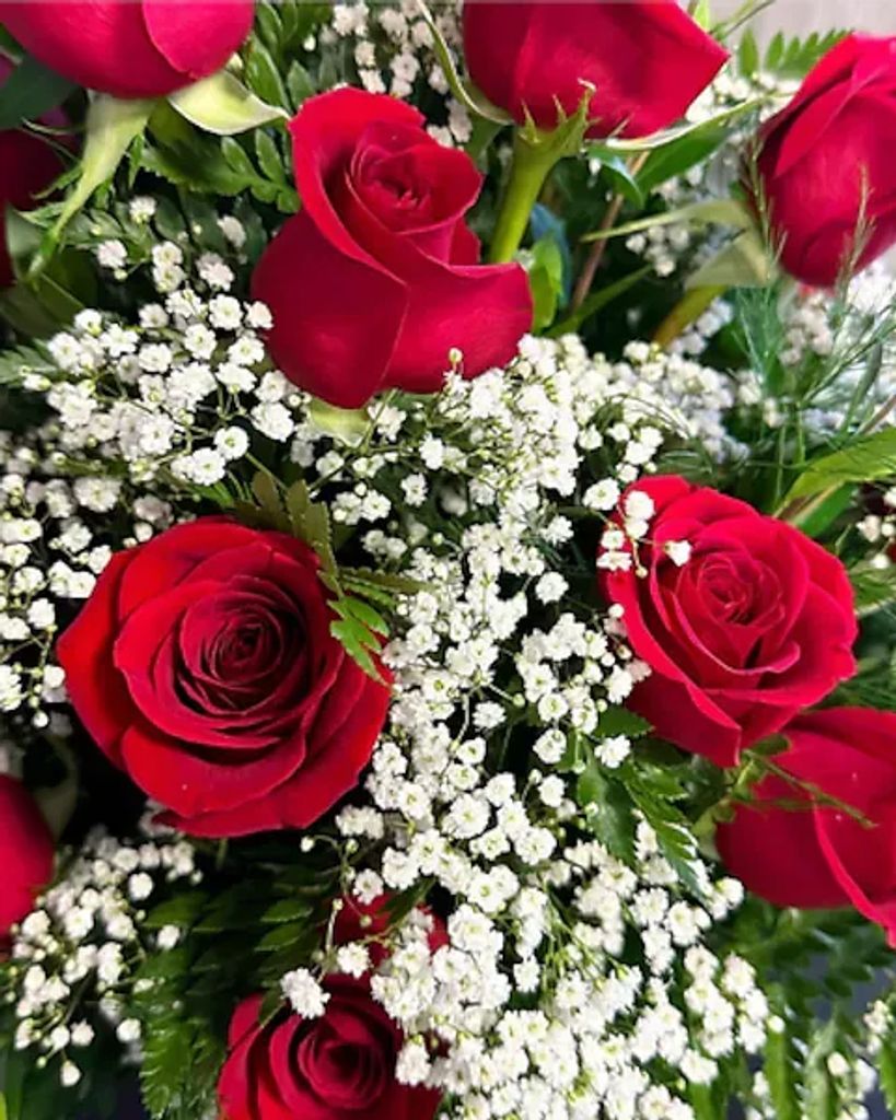 Jennifer Adams Profile Photo