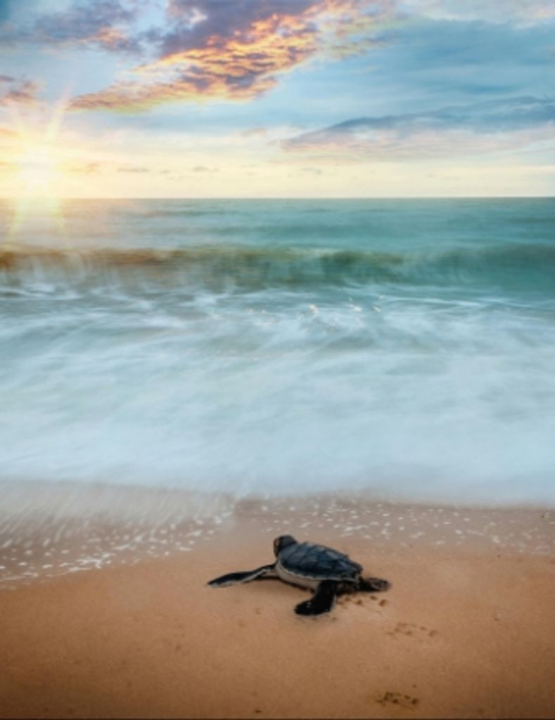 Burton John Buckland, Jr.