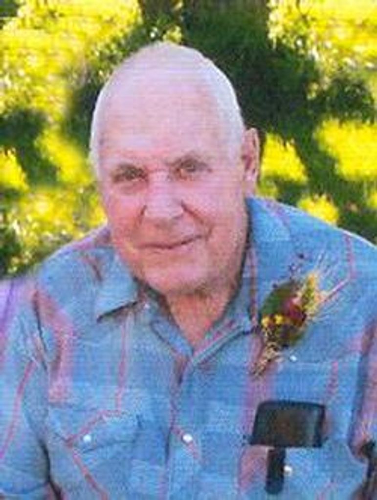 Jack Steinman Profile Photo