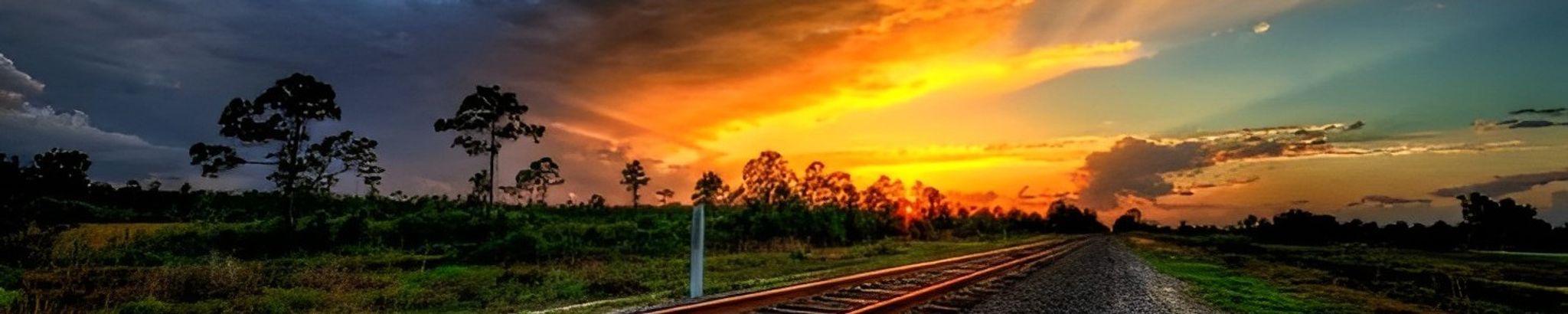 Cover photo for Tony Whitson's Obituary