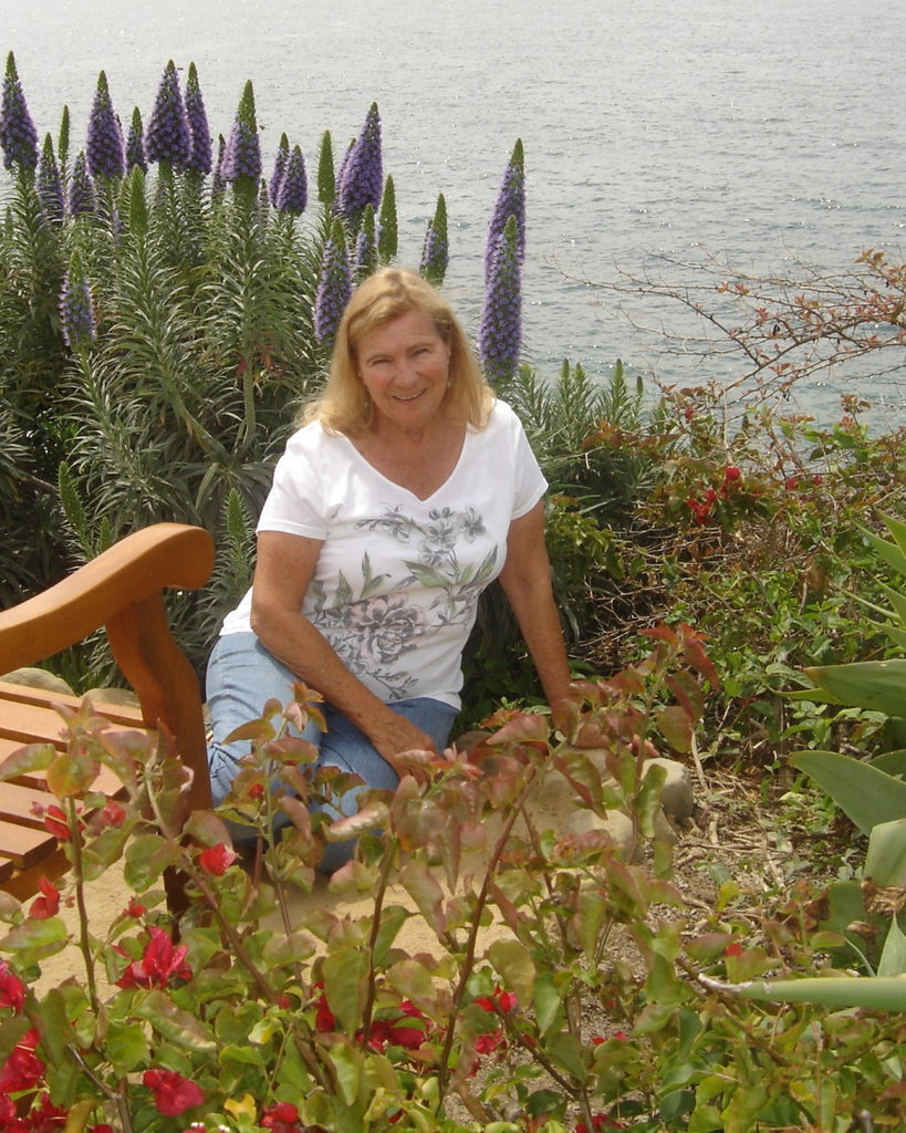 Dawn Owen-Davies Muir Profile Photo